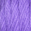 3 Pack - Caron Simply Soft Brites Yarn-Grape - H9700B-9610