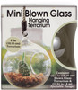 3 Pack - Pepperell Mini Blown Glass Hanging Terrarium- - HGT4IN - 725879791179