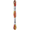 6 Pack - DMC Coloris 6-Strand Embroidery Cotton Floss 8.7yd-Maple - 517-4510 - 077540680672