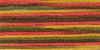 6 Pack - DMC Coloris 6-Strand Embroidery Cotton Floss 8.7yd-Indian Summer - 517-4511