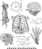 Tim Holtz Cling Stamps 7"X8.5"-Weird Science - CMS-379 Tim Holtz Cling Stamps 7"X8.5"-Weird Science - CMS-379