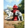3 Pack Royal & Langnickel(R) Small Paint By Number Kit 8.75"X11.75"-Peek-A-Boo PJS-80