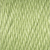 3 Pack Caron Simply Soft Collection Yarn-Pistachio H97COL-3