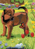 12 Pack - Royal & Langnickel(R) Mini Color Pencil By Number Kit 5"X7"-Puppy & Butterfly - CPNMIN-106 12 Pack - Royal & Langnickel(R) Mini Color Pencil By Number Kit 5"X7"-Puppy & Butterfly - CPNMIN-106