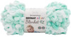 2 Pack Bernat Alize Blanket-EZ Yarn-White Mint 161037-37006 - 057355438989