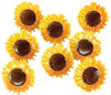 Eyelet Outlet Shape Brads 12/Pkg-Sunflower QBRD2-127