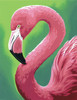 Paint Works Paint By Number Kit 11"X14"-Flamingo Fun 73-91677