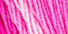 2 Pack - Red Heart Super Saver Ombre Yarn-Jazzy - E305-3966