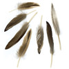 6 Pack Duck Cosse Feathers .05oz-Natural B253