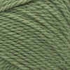 Patons Classic Wool Yarn-Meadow - 244077-77760