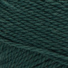 Patons Classic Wool Yarn-Pine - 244077-77765