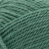 Patons Classic Wool Yarn-Rich Grass - 244077-77764