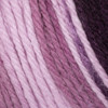 3 Pack - Caron Simply Soft Ombres Yarn-Grape Purple - 294022-22007