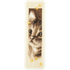 Vervaco Counted Cross Stitch Bookmark Kit 2.4"X8" 2/Pkg-Cat & Dog On Aida (14 Count) V0155362