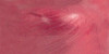 Ranger Liquid Pearls Dimensional Pearlescent Paint .5oz-Rouge - LPL-28222