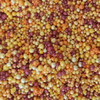 US Artquest Mini Prills 3g-Gourd-Jus - PRILLS-837