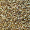 US Artquest Mini Prills 3g-I'm A-Maized - PRILLS-834