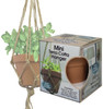 Pepperell Mini Terra Cotta Pot & Jute Plant Hanger SetHTC4IN