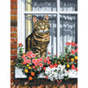 Royal Paint By Number Kit Artist Canvas Series 9"X12"-Cat In The Window PCS-11