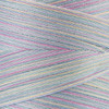 Coats Cotton Machine Quilting Multicolor Thread 1200yd-Baby Pastels - V35-0865