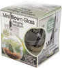 Pepperell Mini Blown Glass Hanging Terrarium- - HGT4IN
