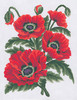 Collection D'Art Stamped Needlepoint Kit 8"X10"-Poppies CD3149K - 52065751314905206575131490