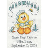 Design Works Counted Cross Stitch Kit 5"X7"-Baby Boy Chick Birth Record (14 Count) - DW2897