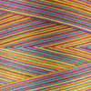 Coats Cotton Machine Quilting Multicolor Thread 1200yd-Gumballs V35-0817