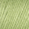 Caron Simply Soft Collection Yarn-Pistachio - H97COL-3