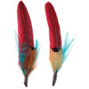 Pheasant Hackle Guinea Hat Trim 2pc-Dark Aqua And Tango Red BPHT-DKATR