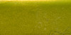 FolkArt Color Shift Paint 2oz-Green Flash - FACS2-5129