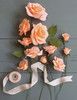 Lia Griffith Crepe Paper Flower Kit-Roses - LG40001 Lia Griffith Crepe Paper Flower Kit-Roses - LG40001