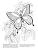 Butterflies Coloring Book-Softcover B6273358