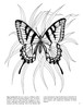 Butterflies Coloring Book-Softcover - B6273358 Butterflies Coloring Book-Softcover - B6273358