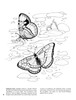 Butterflies Coloring Book-Softcover - B6273358 Butterflies Coloring Book-Softcover - B6273358
