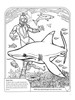Sharks Coloring Book 3D-Softcover - B6484266