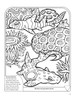 Sharks Coloring Book 3D-Softcover - B6484266