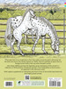 Wonderful World Of Horses Coloring Book-Softcover - B6444659