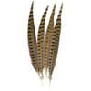 Touch Of Nature Ringneck Pheasant Feathers 4/Pkg-Natural MD38132