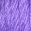 Caron Simply Soft Brites Yarn-Grape H9700B-9610