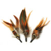 Touch Of Nature Feather Picks 4.5" 3/Pkg-Natural Badger Hackle & Pheasant MD38124