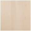 Walnut Hollow Basswood Canvas-12"X12" WH29470