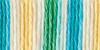 Bernat Handicrafter Cotton Yarn 340g Ombres-Mod Ombre 162034-34021