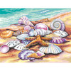 Paint Works Paint By Number Kit 11"X14"-Shells 91526