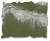 Tim Holtz Distress Ink Pad-Forest Moss - DIS-27133