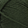 Red Heart Soft Yarn-Dark Leaf - E728-9523