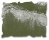 Tim Holtz Distress Pad Reinker-Forest Moss - DRI-27256