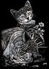 Royal & Langnickel(R) Silver Foil Engraving Art Kit 5"X7"-Tabby Cat & Kitten - SILMIN-102