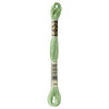 12 Pack - DMC 6-Strand Embroidery Cotton 8.7yd-Light Forest Green-Lighter than 989 - 117-164 - 077540810741