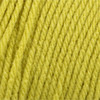 Bernat Super Value Solid Yarn-Grass - 164053-53223